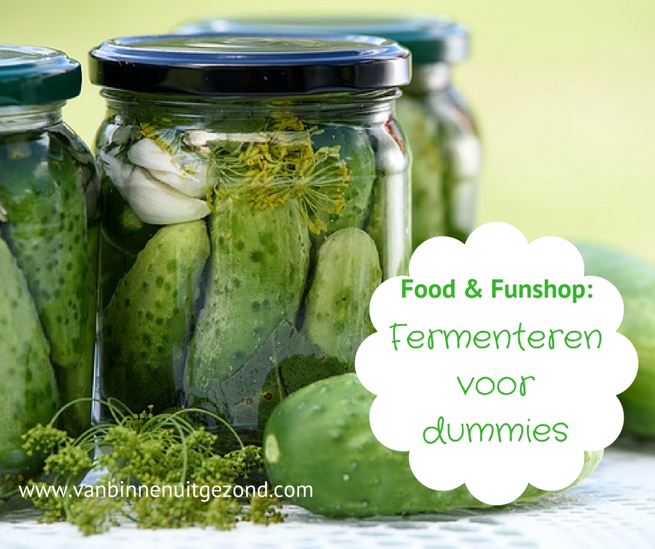 Fermenteren voor dummies 1