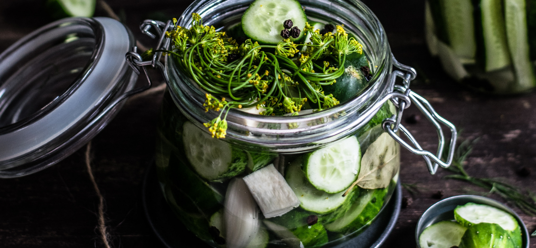 Gefermenteerde dille komkommers